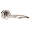 Shark Lever on Rose