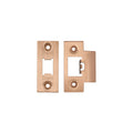 Spare Accessory Pack for Heavy Duty Tubular Latch