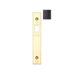 Spare Square Accessory Pack for UK Upright Latch - Contains Forend, Strike & Screws