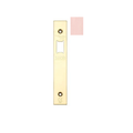Spare Square Accessory Pack for UK Upright Latch - Contains Forend, Strike & Screws