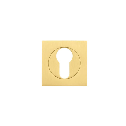 Zoo Hardware Square Escutcheon - Euro Profile in a brushed gold finish, featuring a square design with a circular keyhole cutout for Euro profile locks.