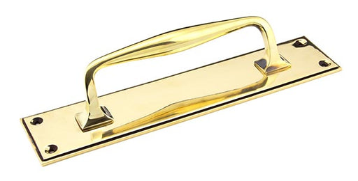 300mm Art Deco Pull Handle on Backplate.