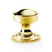 AW - Tortoise Shell Mortice Knob - Unlacquered Brass